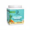 Předchozí: Collagen Builder 500g vanilka
