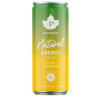Další: Natural Energy Drink 330ml pear lemonade