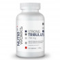 Další: Tribulus Terrestris 750mg 120 kapslí