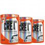 Další: AKCE 3x Extrifit Crea Monohydrate 400 g