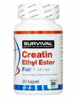 Survival Creatin Ethyl Ester Fair Power 90 cps