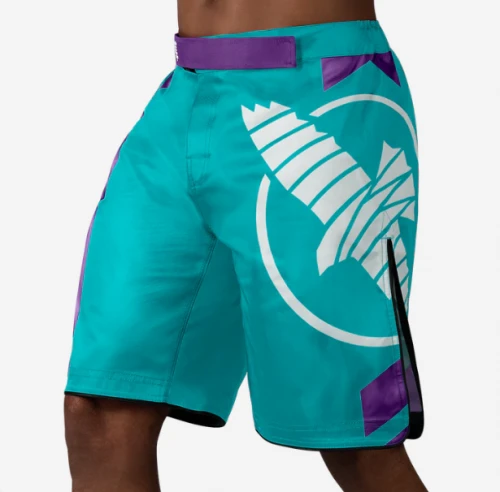 MMA Šortky Hayabusa Icon - Tyrkysová/Bílá