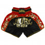 Muay Thai